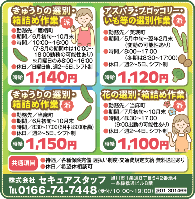 きゅうりの選別・箱詰め作業[派]アスパラ・ブロッコリー・いも等の選別作業[派]きゅうりの選別・箱詰め作業[派]花の選別・箱詰め作業[派]