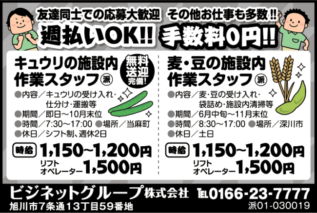 キュウリの施設内作業スタッフ[派]麦・豆の施設内作業スタッフ[派]