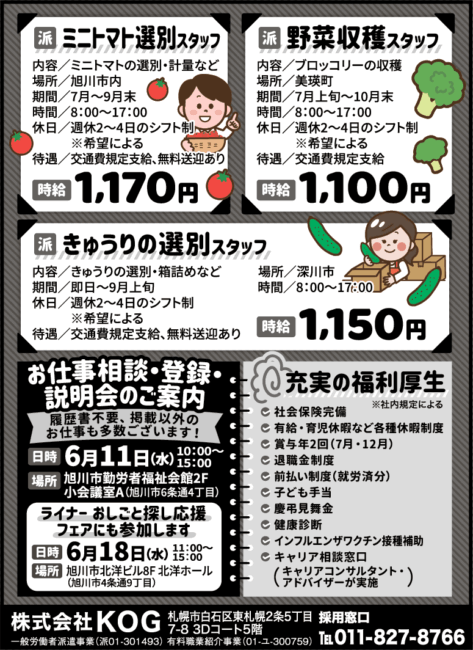 ミニトマト選別スタッフ[派]野菜収穫スタッフ[派]きゅうりの選別スタッフ[派]