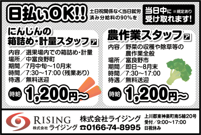 にんじんの箱詰め・計量スタッフ[ア]農作業スタッフ[ア]