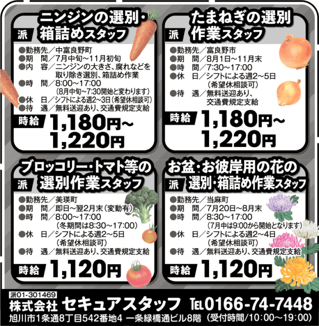 ニンジンの選別・箱詰めスタッフ[派]たまねぎの選別作業スタッフ[派]ブロッコリー・トマト等の選別作業スタッフ[派]お盆・お彼岸用の花の選別・箱詰めスタッフ[派]