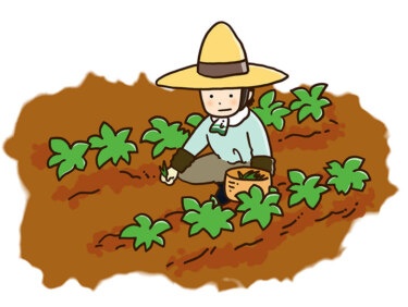 株式会社新田ファーム