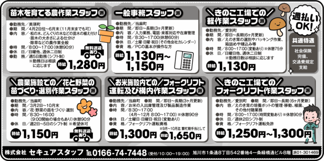 苗木を育てる農作業スタッフ[派]