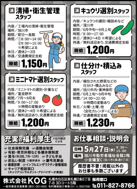 ミニトマト選別スタッフ[派]