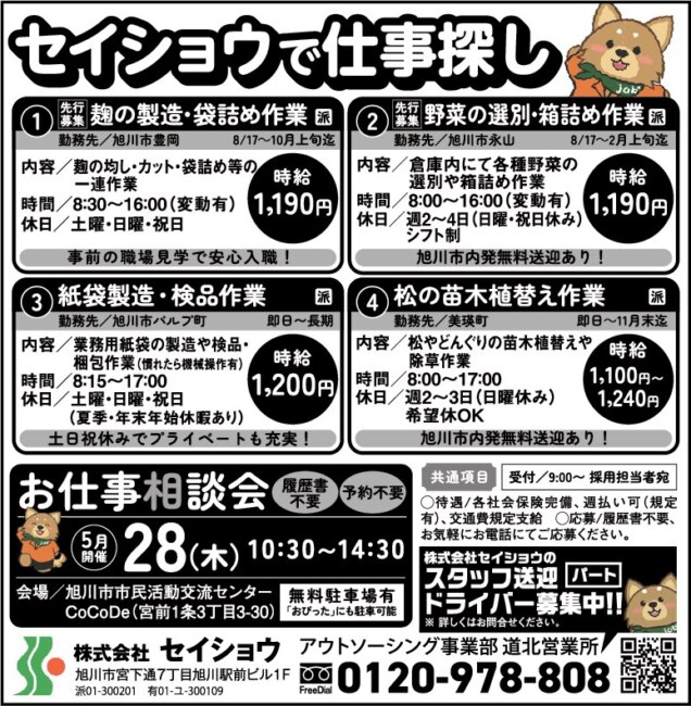 松の苗木植替え作業[派]