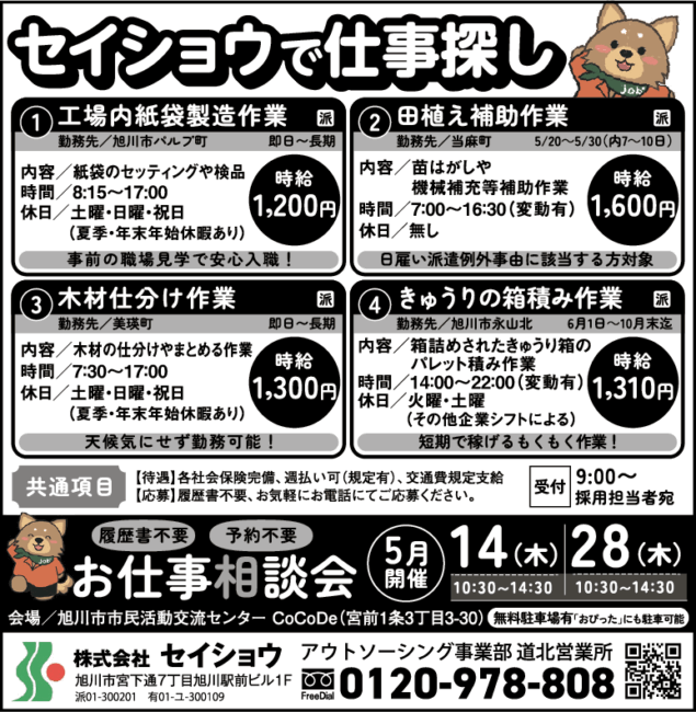 木材仕分け作業[派]
