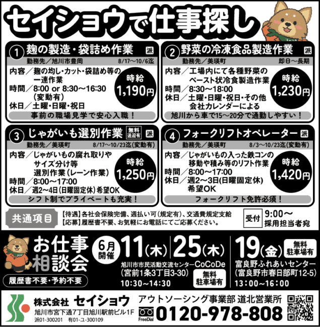 じゃがいも選別作業[派]