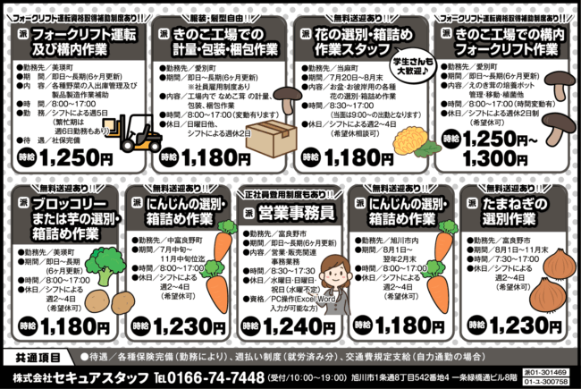 たまねぎの選別作業[派]