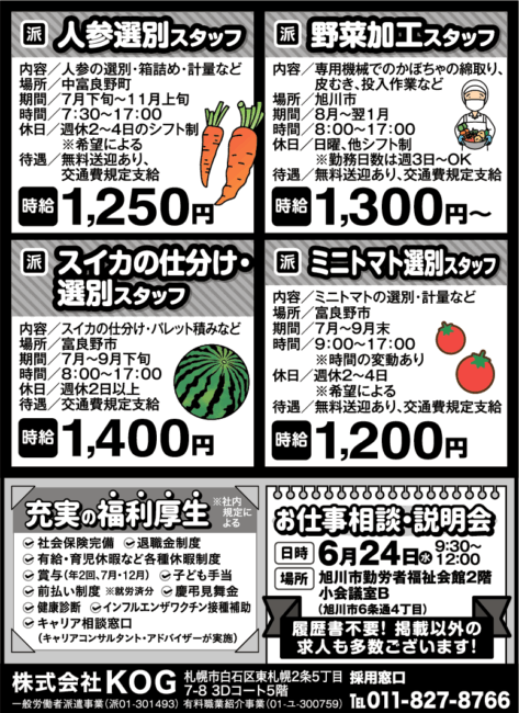 ミニトマト選別スタッフ[派]