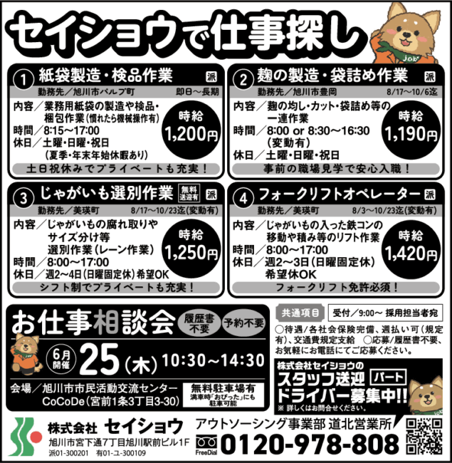じゃがいも選別作業[派]