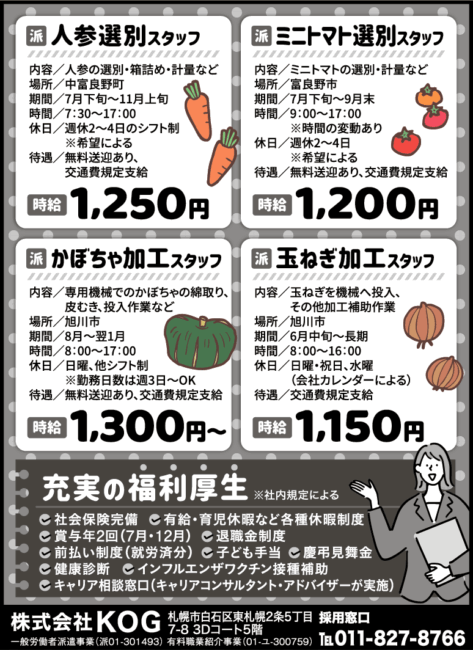 かぼちゃ選別スタッフ[派]