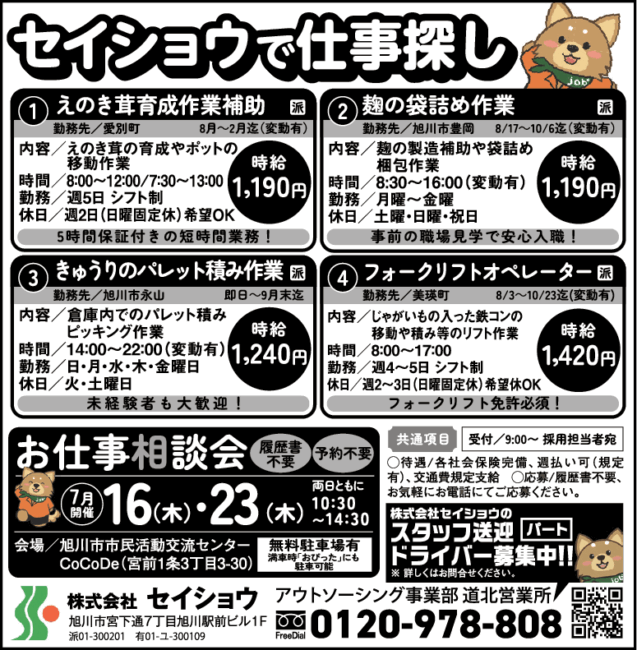 えのき茸育成作業補助[派]