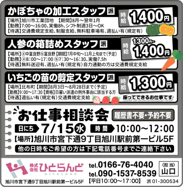 人参の箱詰めスタッフ[派]