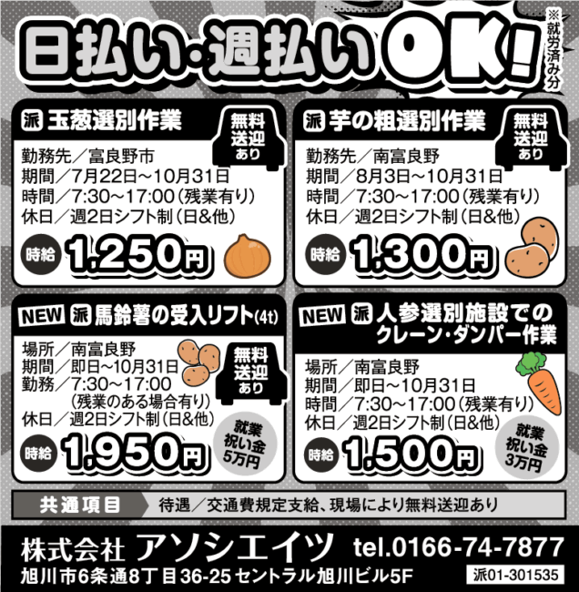 玉葱選別作業[派]