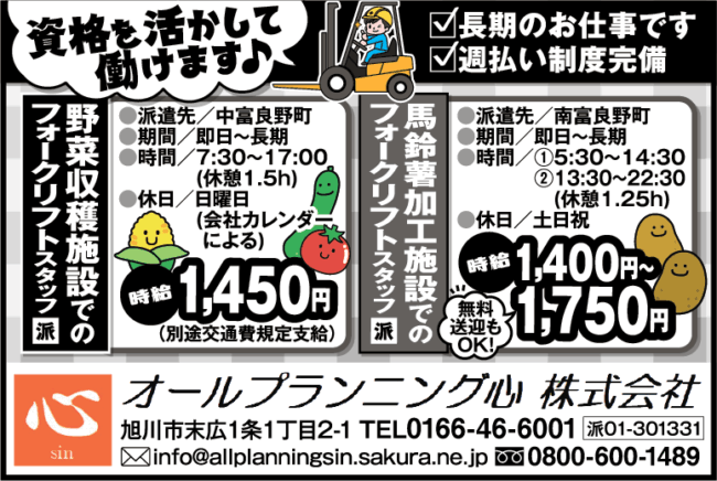 馬鈴薯加工施設でのフォークリフトスタッフ[派]