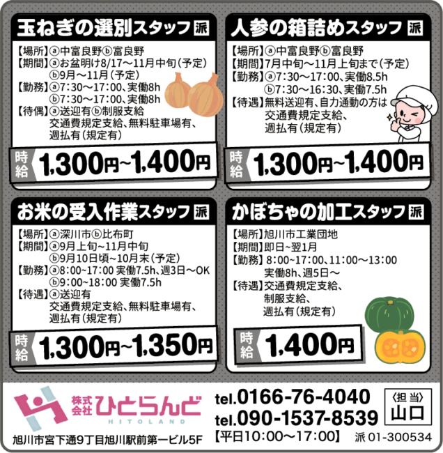 人参の箱詰めスタッフ[派]