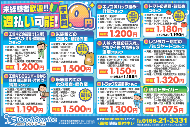 人参・大根の箱入れ、サツマイモ・カボチャの選別スタッフ[派]