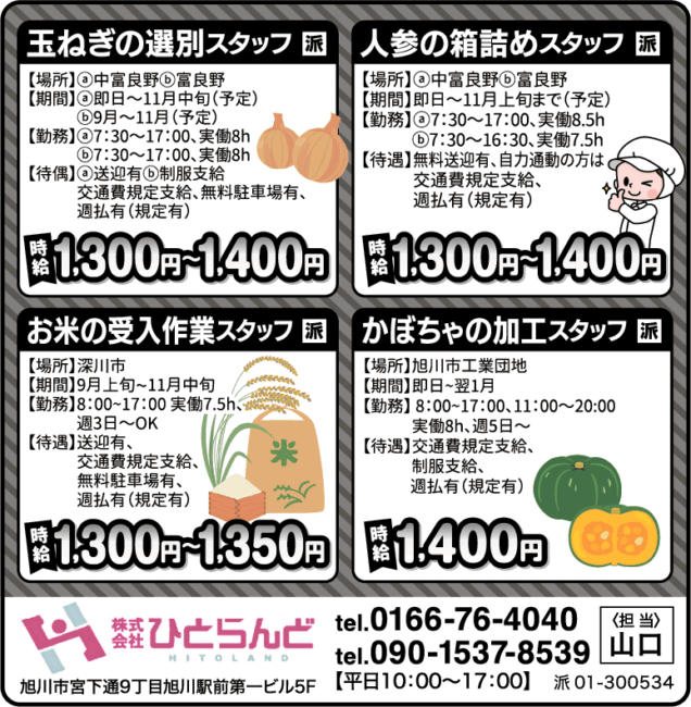玉ねぎの選別スタッフ[派]